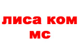 lisakomms logo